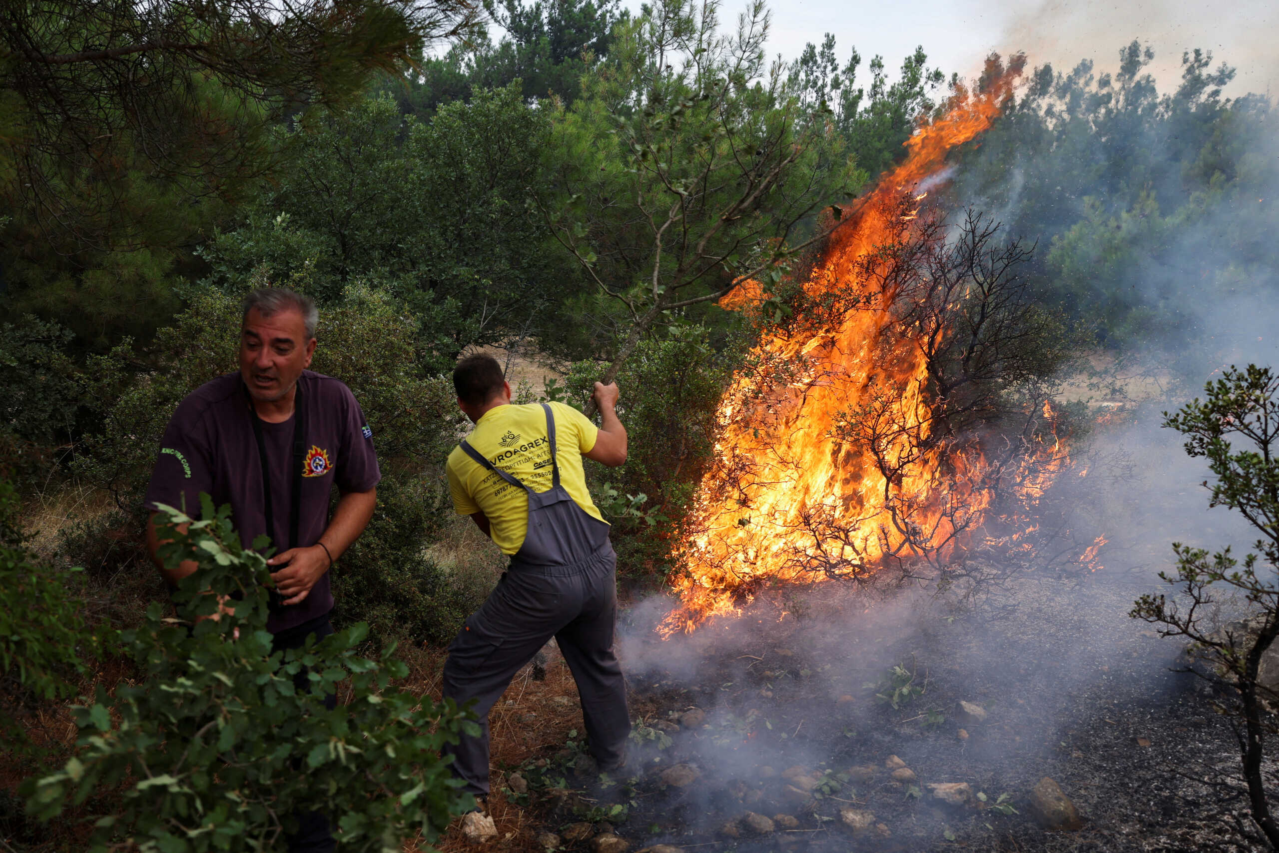 Φωτιά στο δάσος της Δαδιάς: Προληπτική απομάκρυνση λίγων ατόμων από τη Λευκίμμη