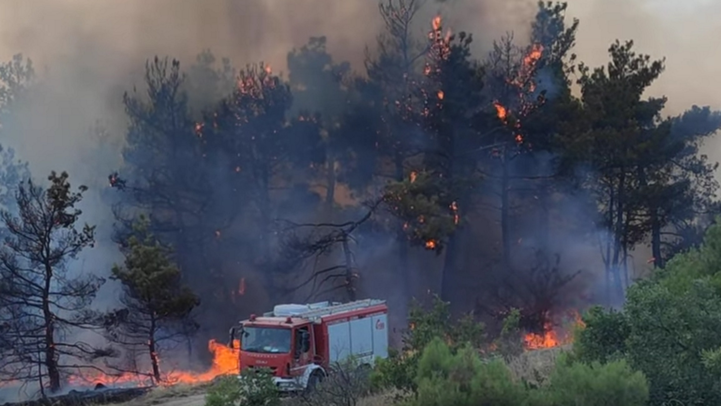 Φωτιά στη Δαδιά: Προς την εθνική οι φλόγες – Αγωνία για τα οικοσυστήματα, δεν κινδυνεύει το χωριό