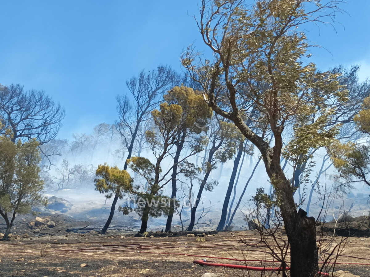 71 δασικές πυρκαγιές εκδηλώθηκαν το τελευταίο 24ωρο σε όλη την Ελλάδα