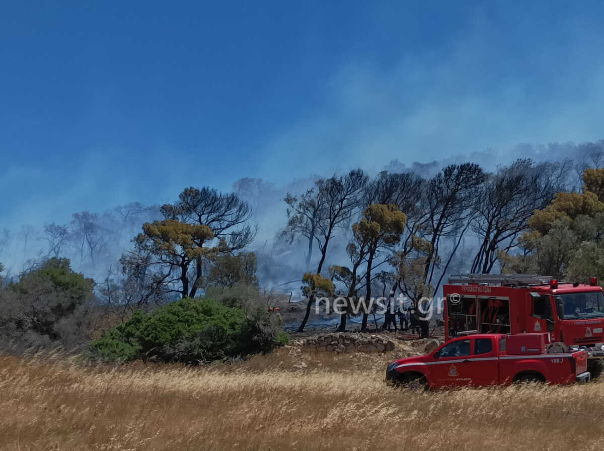 Φωτιά στην περιοχή Φέριζα του δήμου Σαρωνικού