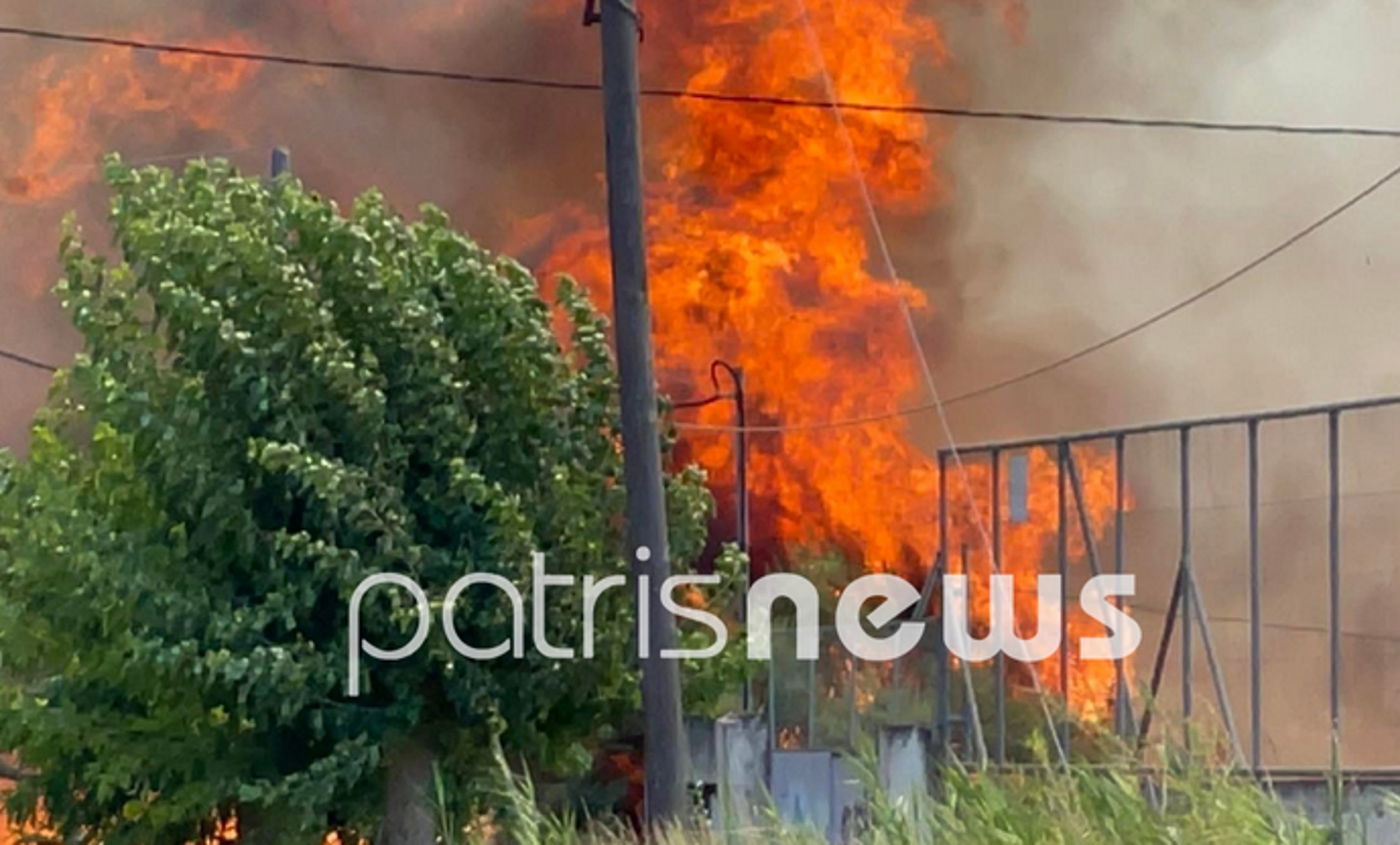 Φωτιά στην Ηλεία: Απειλούνται σπίτια στην Σπιάτζα – Εικόνες από την περιοχή που μαίνεται η πυρκαγιά
