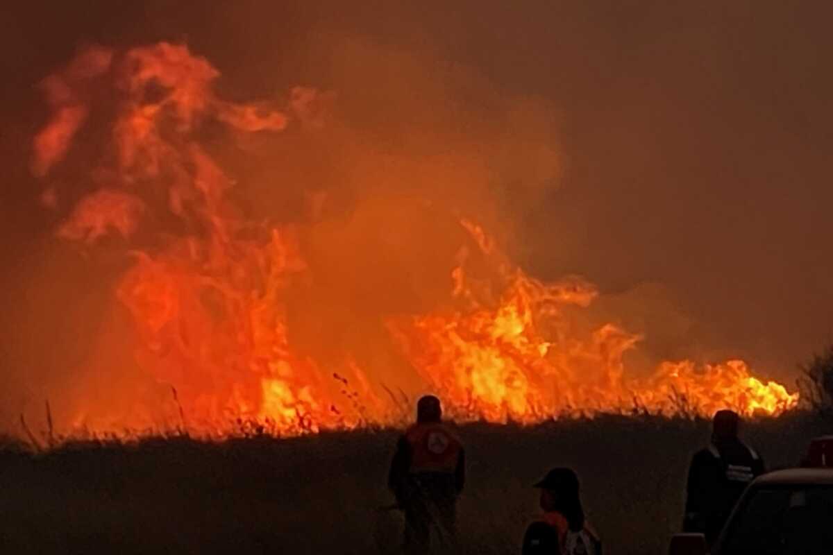 Φωτιά στην Ηλεία: Ολονύχτια μάχη με τις φλόγες που «άγγιξαν» χωριά – Εκκένωση οικισμών και αγωνία