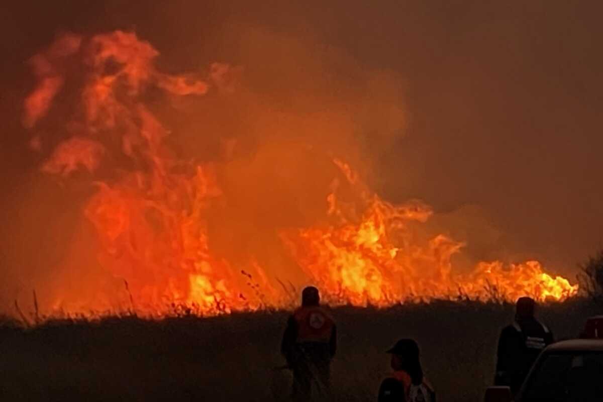 Πυροσβέστες προσπαθούν να σβήσουν φωτιά στον οικισμό Κοτρώνα, Αγραπιδοχωρίου Ηλείας, Σάββατο 03 Ιουλίου 2022. Τρεις κοινότητες του δήμου Ήλιδας στην Ηλεία απειλεί η φωτιά που εκδηλώθηκε τις απογευματινές ώρες στην περιοχή Πόρτες της Αχαΐας και στη συνέχεια πέρασε στη γειτονική περιφερειακή ενότητα. Όπως ανέφερε μιλώντας στο Αθηναϊκό - Μακεδονικό Πρακτορείο Ειδήσεων ο αντιπεριφερειάρχης Ηλείας, Βασίλης Γιαννόπουλος, «το πύρινο μέτωπο κατευθύνεται προς τις κοινότητες, Κότρωνα και Καραγιαννέικα, οι οποίες έχουν ήδη εκκενωθεί, ενώ οι πυροσβεστικές δυνάμεις προσπαθούν να ανακόψουν τη φωτιά πριν φθάσει στην ορεινή κοινότητα, Λάττα».ΑΠΕ-ΜΠΕ