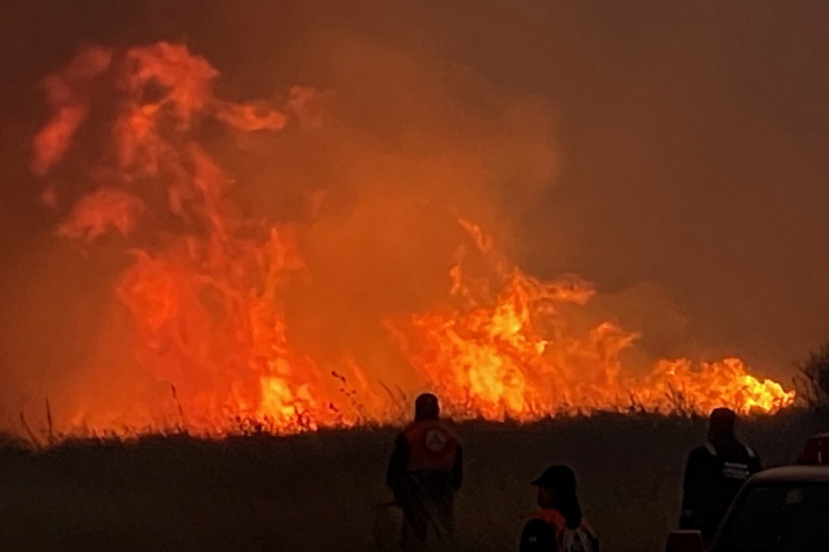 Πυροσβέστες προσπαθούν να σβήσουν φωτιά στον οικισμό Κοτρώνα, Αγραπιδοχωρίου Ηλείας, Σάββατο 03 Ιουλίου 2022. Τρεις κοινότητες του δήμου Ήλιδας στην Ηλεία απειλεί η φωτιά που εκδηλώθηκε τις απογευματινές ώρες στην περιοχή Πόρτες της Αχαΐας και στη συνέχεια πέρασε στη γειτονική περιφερειακή ενότητα. Όπως ανέφερε μιλώντας στο Αθηναϊκό - Μακεδονικό Πρακτορείο Ειδήσεων ο αντιπεριφερειάρχης Ηλείας, Βασίλης Γιαννόπουλος, «το πύρινο μέτωπο κατευθύνεται προς τις κοινότητες, Κότρωνα και Καραγιαννέικα, οι οποίες έχουν ήδη εκκενωθεί, ενώ οι πυροσβεστικές δυνάμεις προσπαθούν να ανακόψουν τη φωτιά πριν φθάσει στην ορεινή κοινότητα, Λάττα».ΑΠΕ-ΜΠΕ