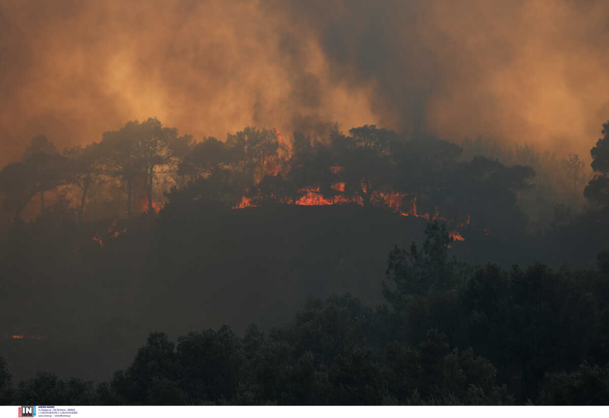 Φωτιές σε όλη την Ελλάδα: 141 πυρκαγιές το τελευταίο 3ημερο σε όλη τη χώρα