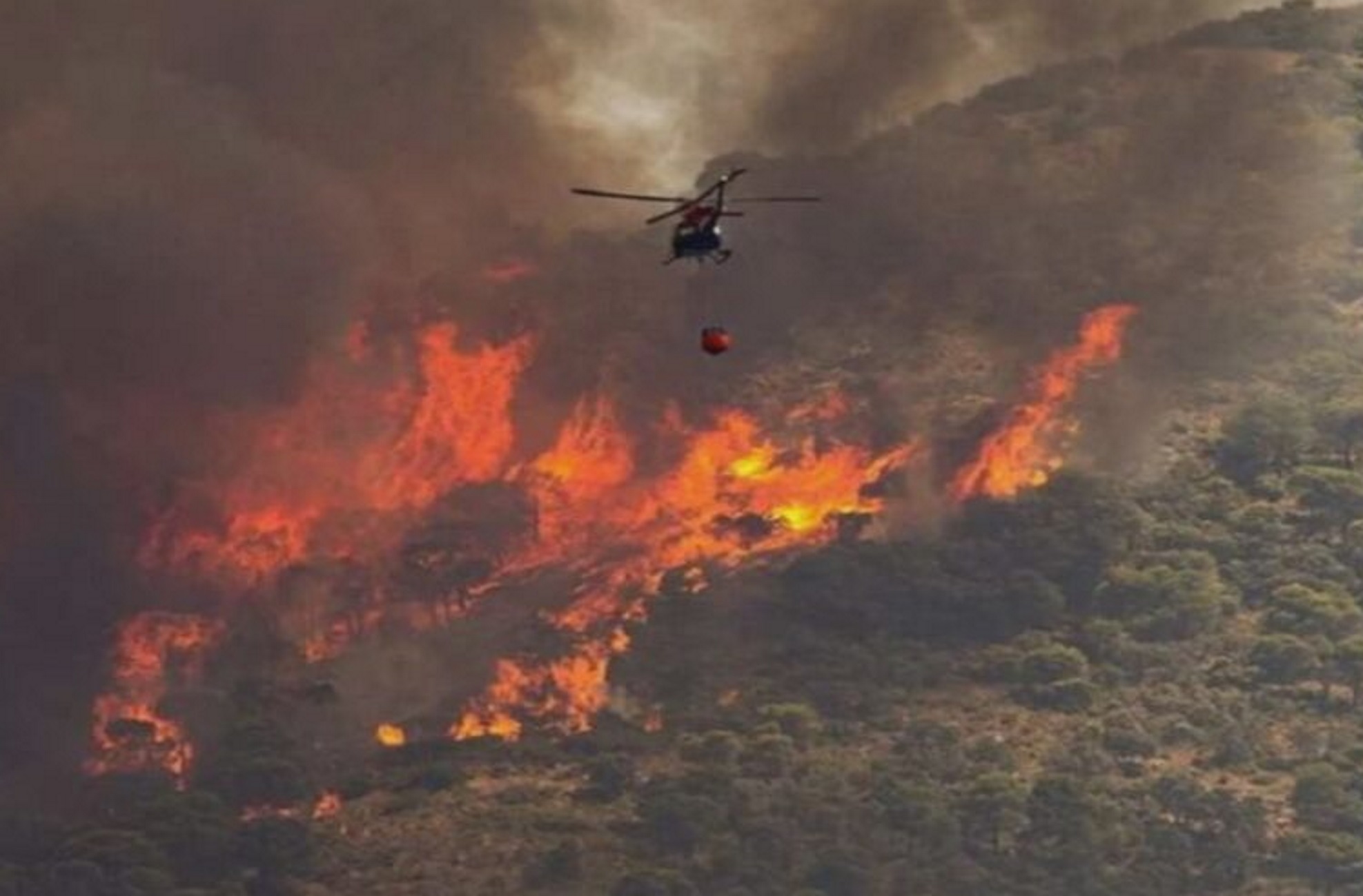 Μεσσηνία: Υπό έλεγχο η φωτιά μεταξύ Ακριτοχωρίου και Χρυσοκελλαριάς