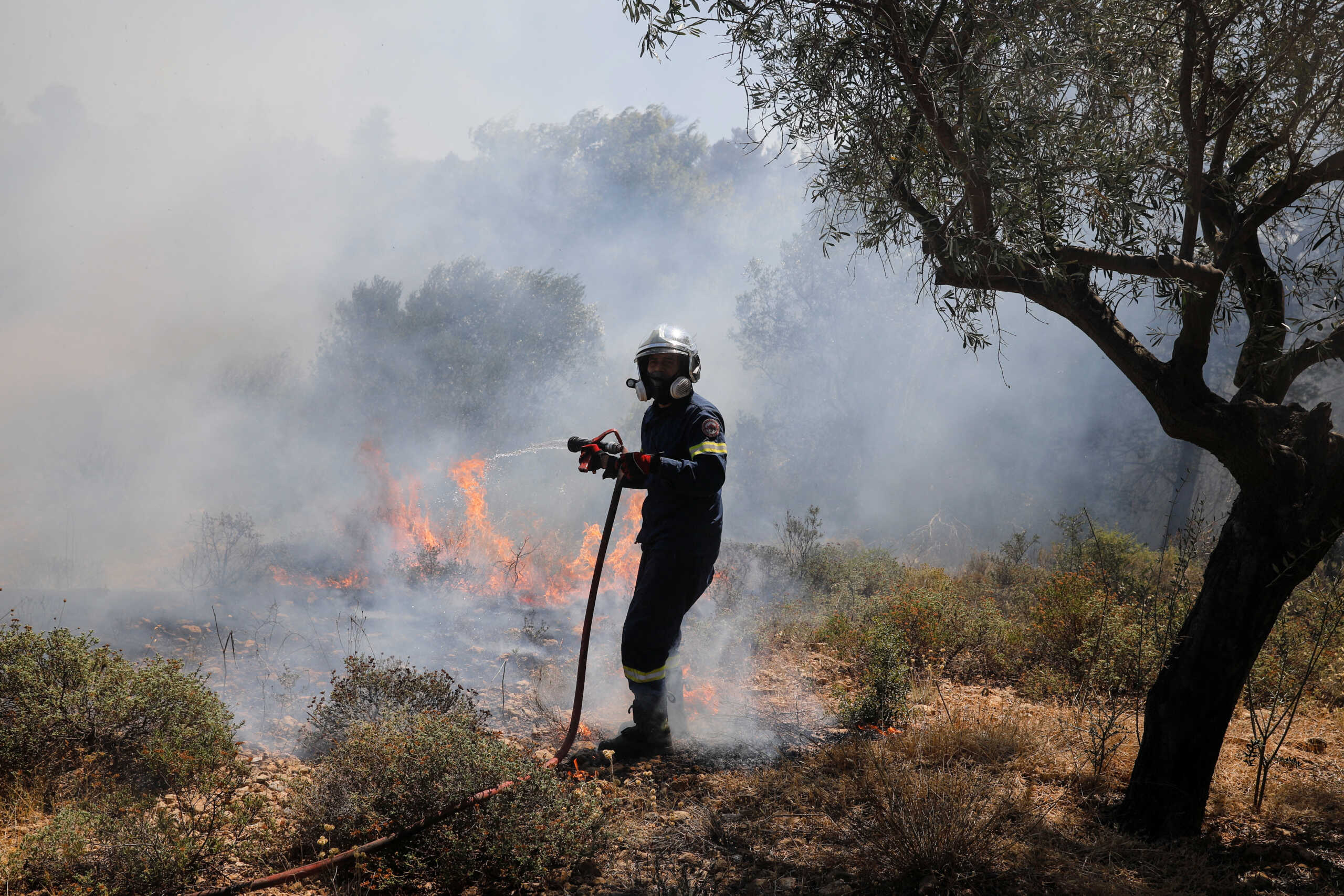 Φωτιά στη Βασιλική Λακωνίας – Καίγεται δάσος
