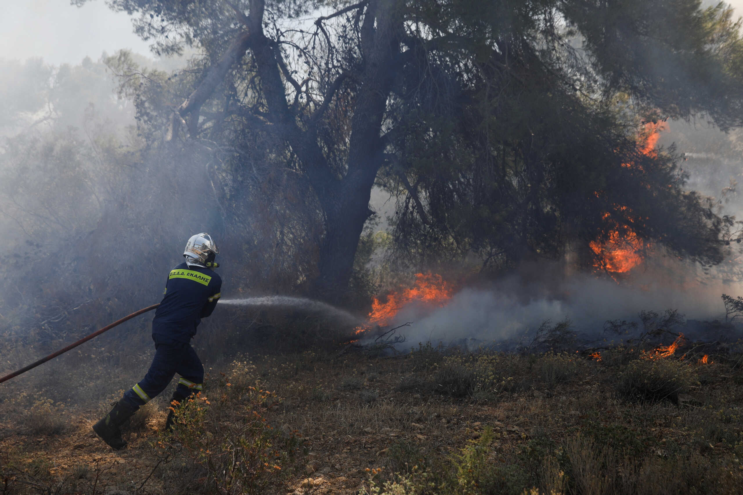A firefighter tries to extinguish a wildfire burning in Pallini, near Athens, Greece July 20, 2022. REUTERS