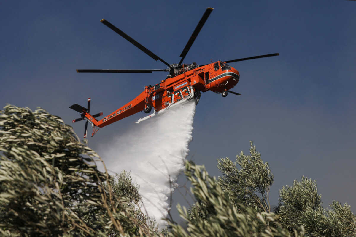 Φωτιά στην Ηλεία: Έτσι έφτασε στον εισαγγελέα ο κατηγορούμενος για εμπρησμό από πρόθεση στα Άγναντα