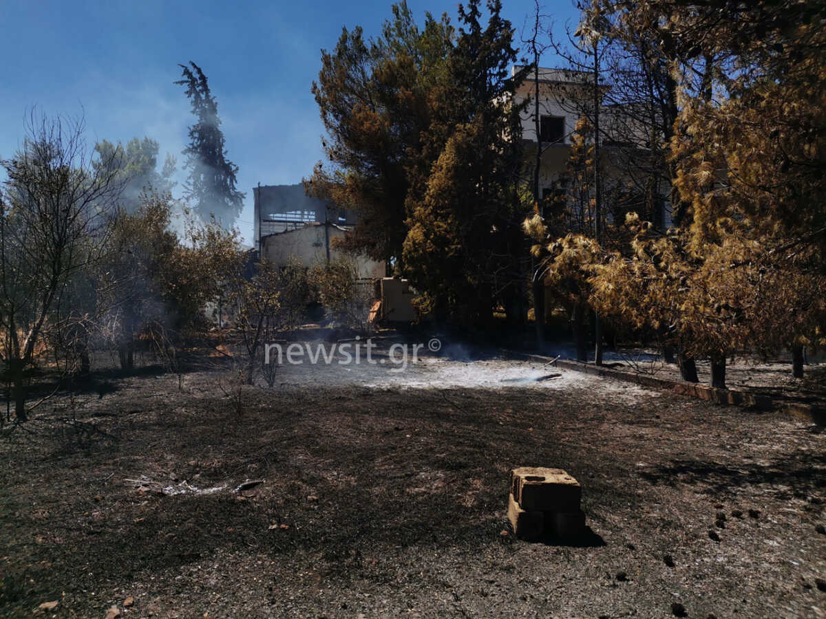Φωτιά στο Σχηματάρι: Δεν υπάρχει ενεργό μέτωπο – Κάηκαν αποθήκες και γκαράζ