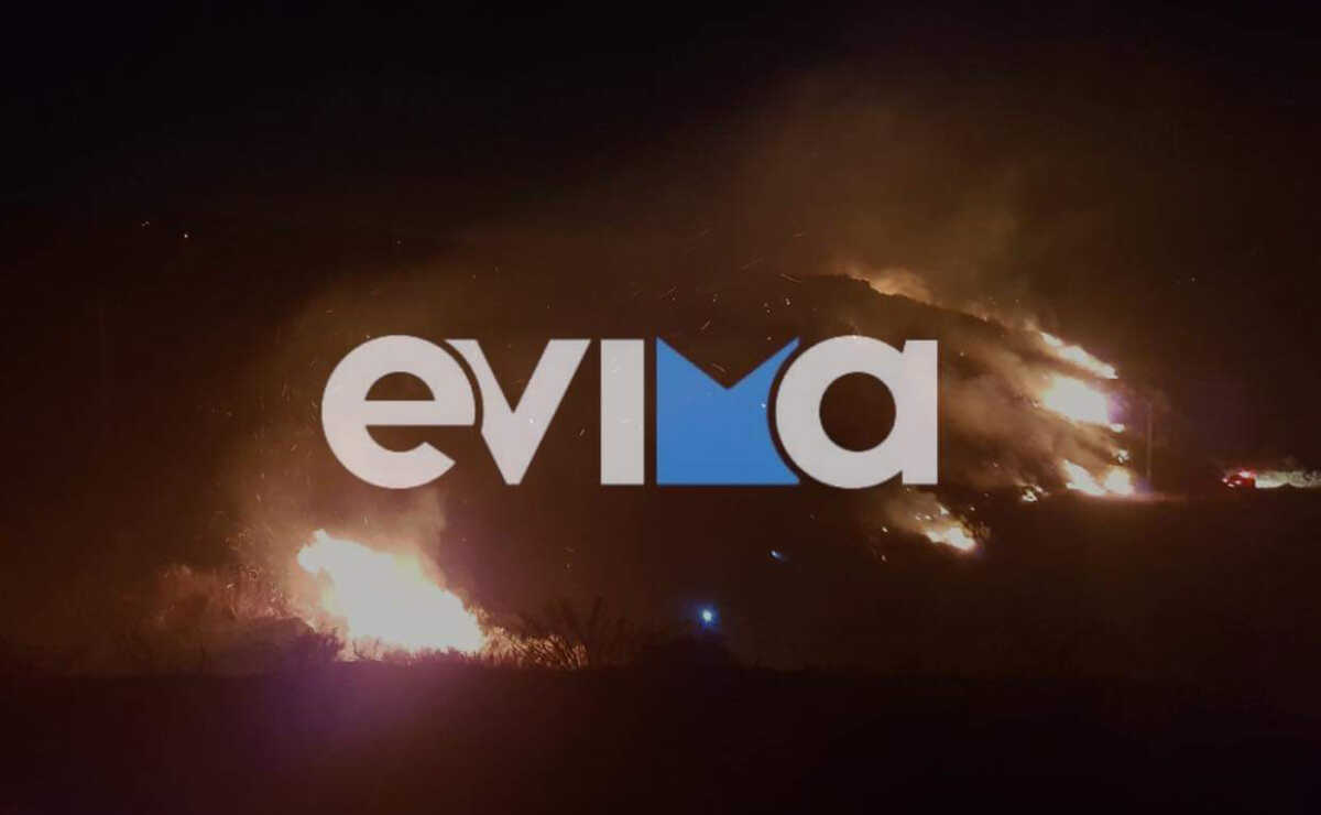 Φωτιά στην Εύβοια, σε δασική έκταση στον Κάλαμο