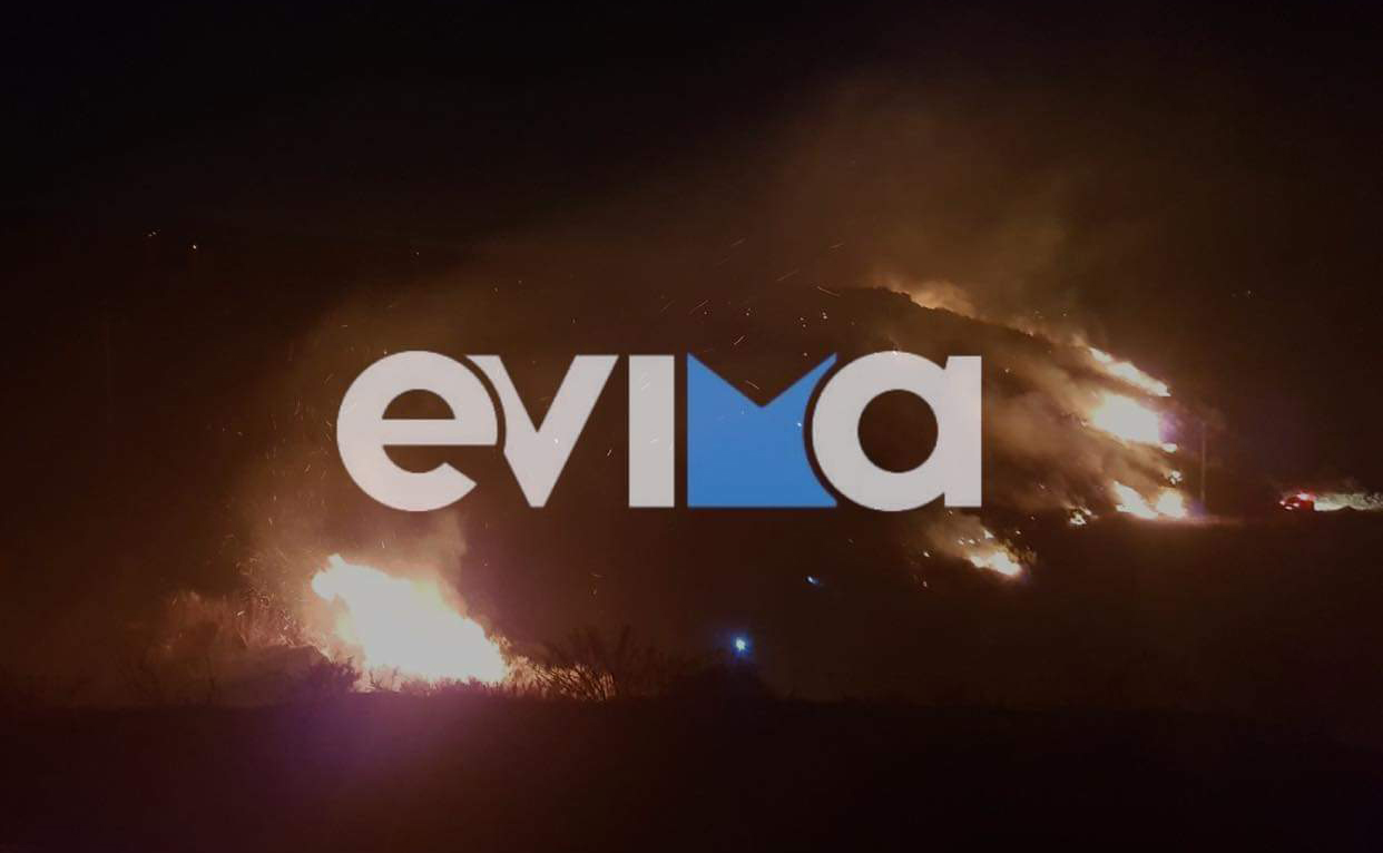 Φωτιά στην Εύβοια, σε δασική έκταση στον Κάλαμο
