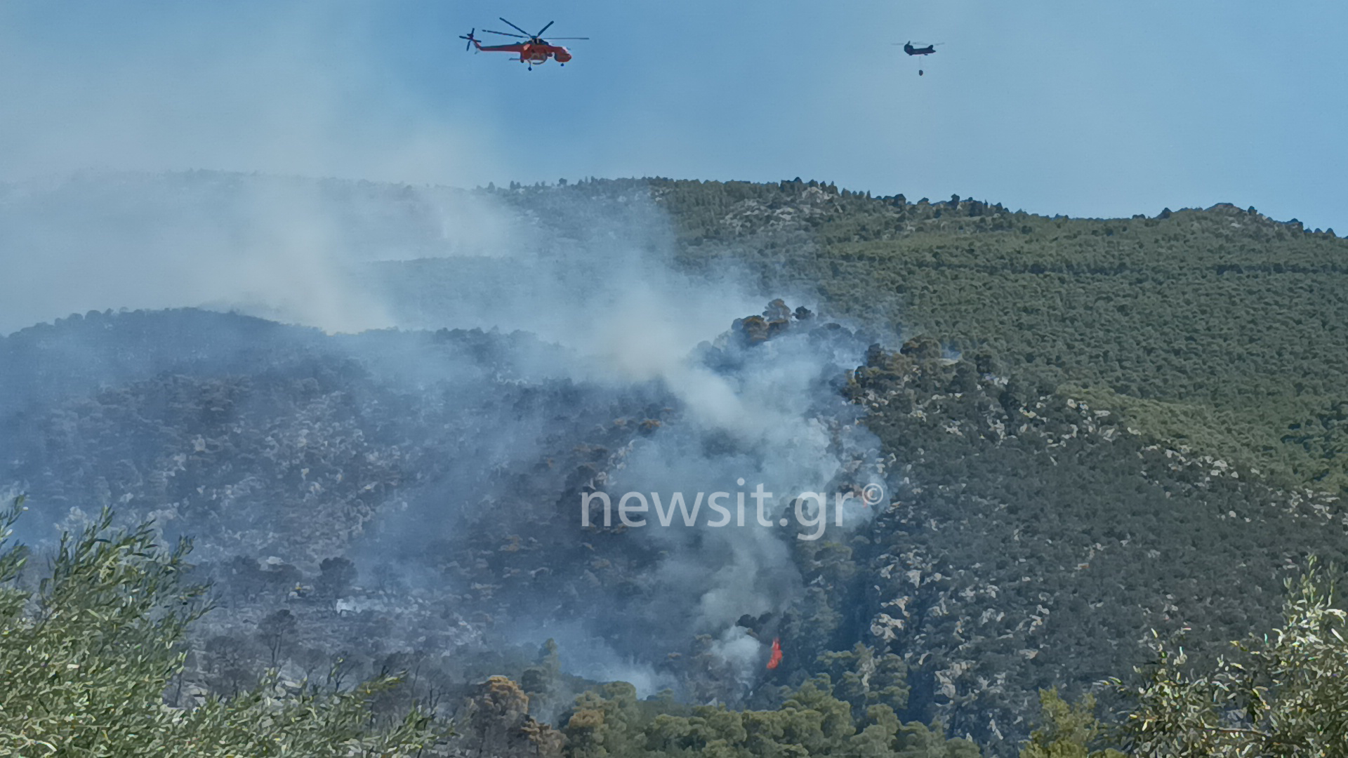 Φωτιά στο Πόρτο Γερμενό: Αγώνας για να μην περάσουν οι φλόγες στην Ψάθα – Κάηκαν σπίτια