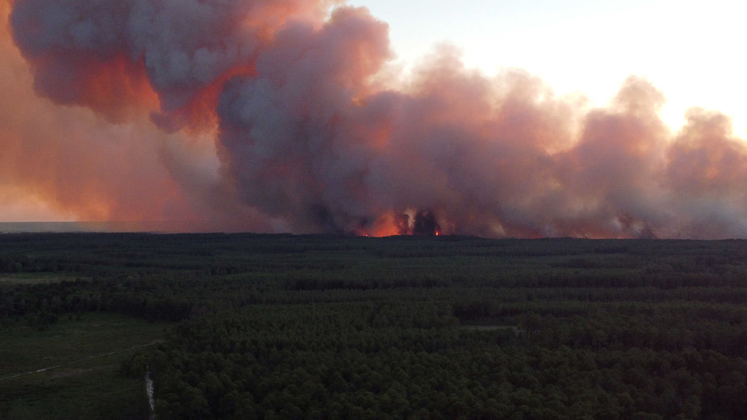 A view shows smoke rising from the Gironde forest fires as seen from Landiras, France July 12, 2022 in this picture obtained from social media. Twitter @Dgamax
