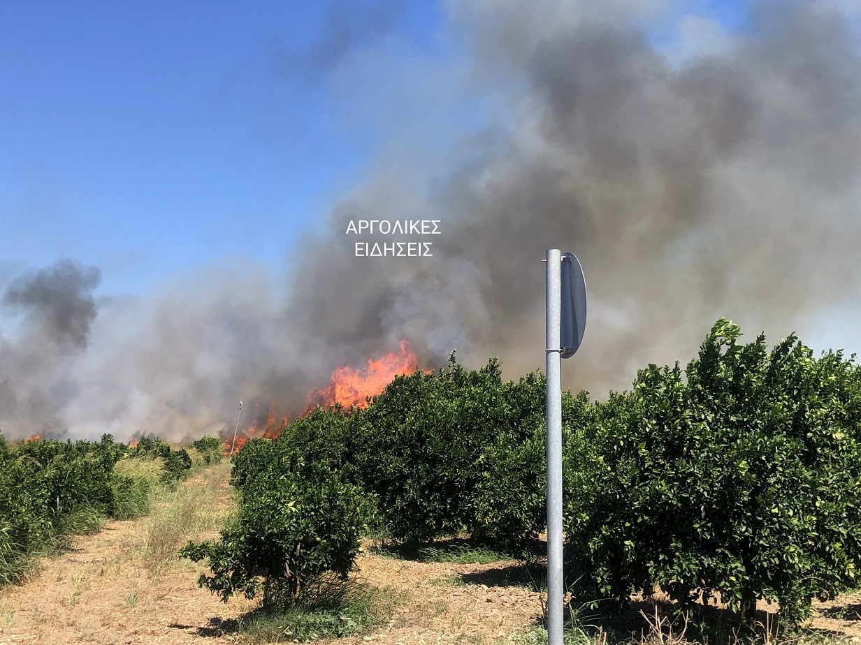 Φωτιά στην Αργολίδα – Επιχειρούν επίγειες και εναέριες δυνάμεις