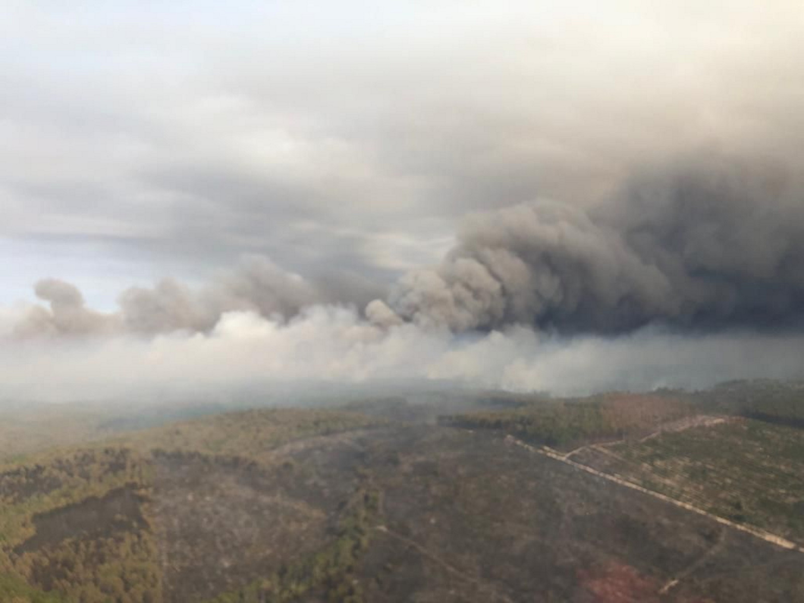 Γαλλία: Τεράστιες φωτιές καίνε τα δάση της χώρας – Έστειλε βοήθεια η Ελλάδα