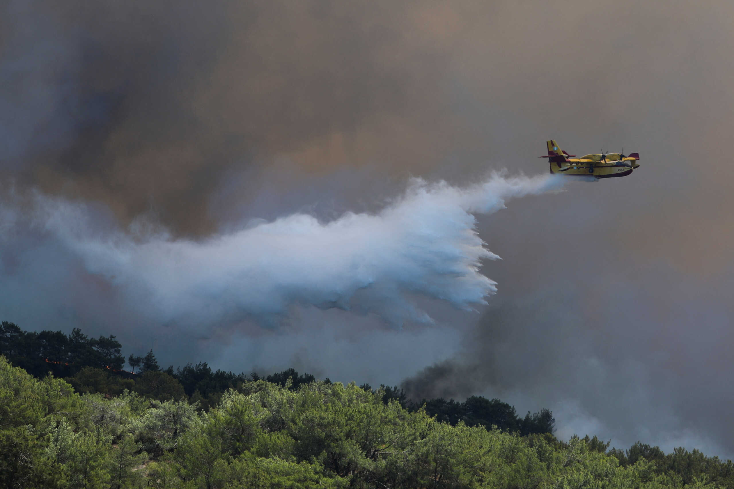 Φωτιά σε Άγιο Όρος: Υπό μερικό έλεγχο η πυρκαγιά – Καίνε μικροεστίες στην περιοχή