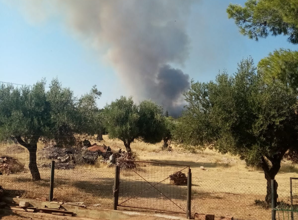 Φωτιά στην περιφερειακή Αιγάλεω, στα νεόκτιστα Ασπροπύργου