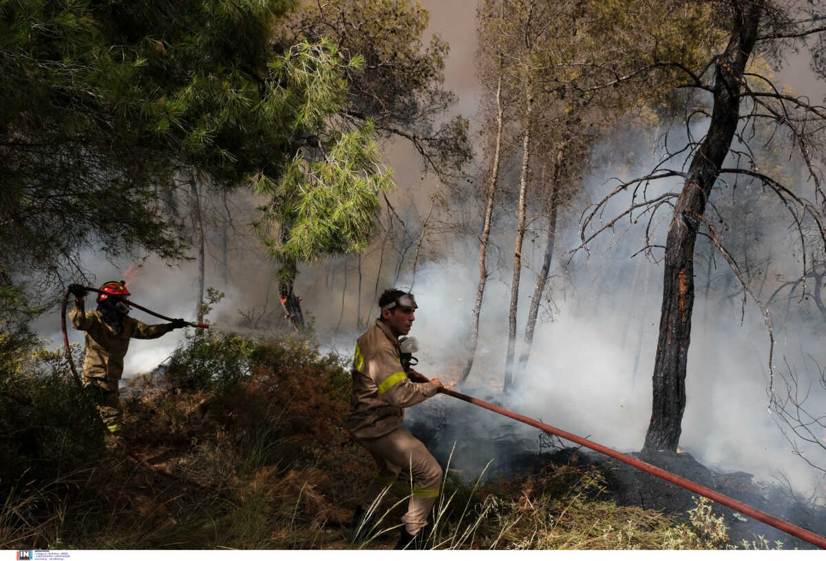 Φωτιά στα Μέγαρα: Εκκενώθηκαν Ζάχουλη και Παπαγιανέικα – Σε ποια μέτωπα γίνεται η μάχη