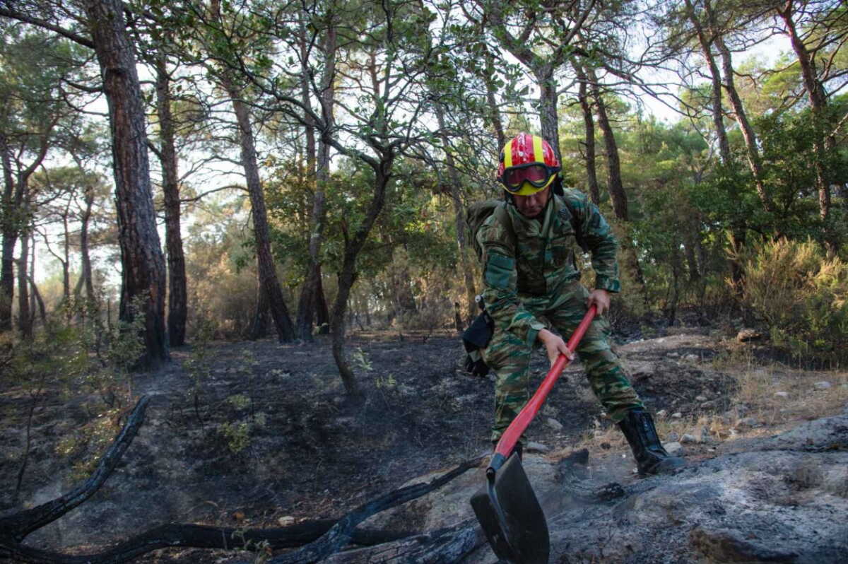 Φωτιά στη Δαδιά: Καίει για έκτη μέρα η πυρκαγιά – Μάχη στα νοτιοδυτικά