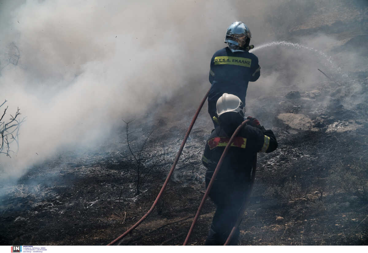 Φωτιά στη Βοιωτία – Στις φλόγες τυλίχθηκε δάσος στην περιοχή Κλειδί