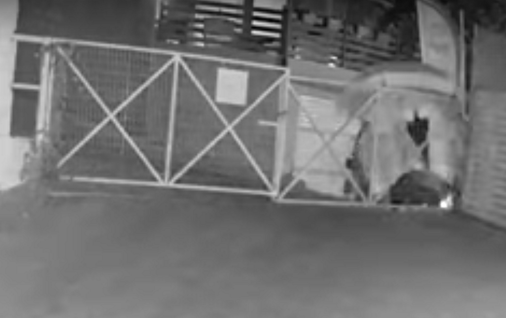 Εμπρησμός στην Πάργα: Το βίντεο ντοκουμέντο και ο εμπρηστής που εμφανίστηκε ξαφνικά με ένα σεντόνι