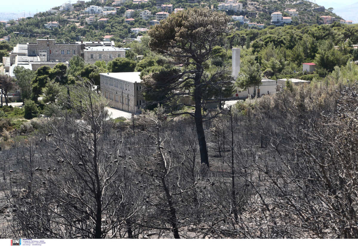 Φωτιά στην Πεντέλη: Προς ολοκλήρωση οι αυτοψίες – Έχουν ελεγχθεί 251 κτίρια