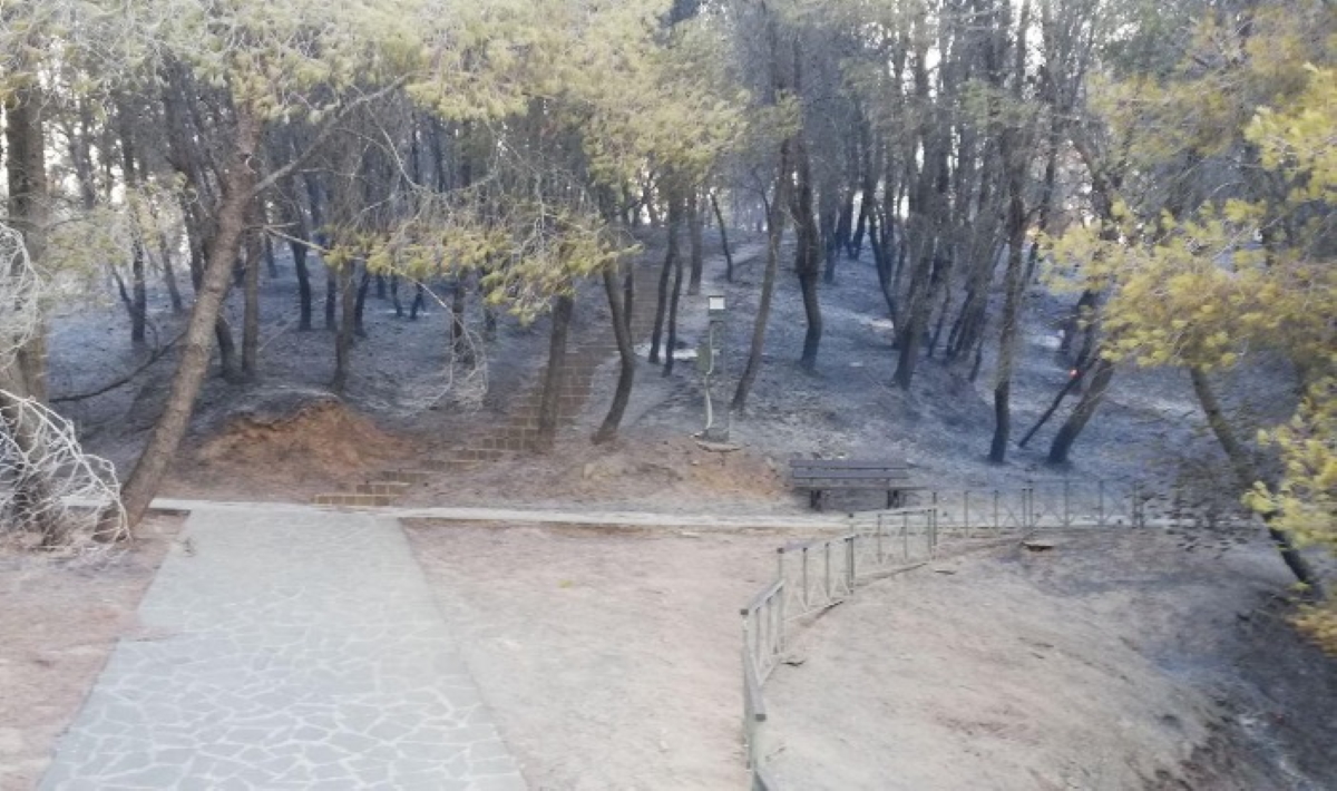 Πόρτες Αχαΐας: Καμία ζημιά στον αρχαιολογικό χώρο από την φωτιά λέει το υπουργείο Πολιτισμού