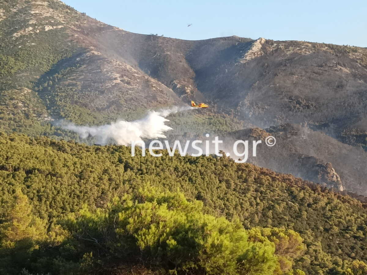 Φωτιά στο Πόρτο Γερμενό: Προσαγωγή υπόπτου για εμπρησμό – Η κατάσταση στο μέτωπο της πυρκαγιάς