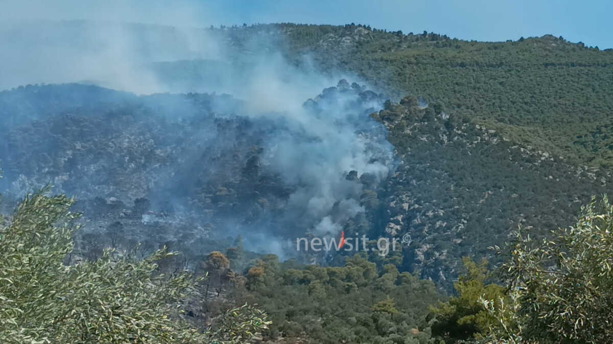 Φωτιά στο Πόρτο Γερμενό: Μήνυμα του 112 για εκκένωση του Μύτικα προς Ψάθα