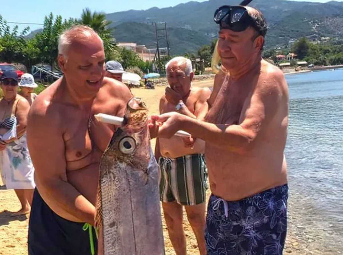 Θεσσαλία: Μαζεύτηκε όλη η παραλία για να δει αυτό το παράξενο ψάρι που έπιασε – Δείτε τις εικόνες