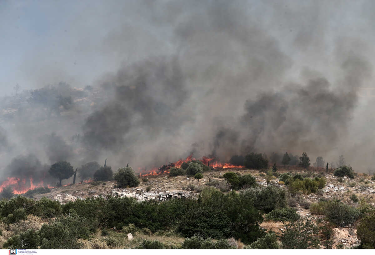 Σε εξέλιξη πυρκαγιά στο Άγιο Όρος