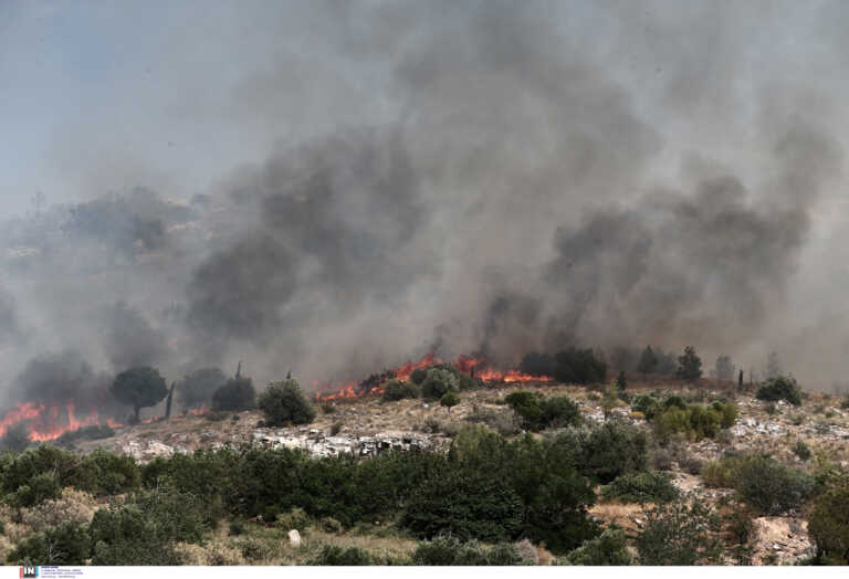 Πολύ υψηλός κίνδυνος πυρκαγιάς σε Νότιο, Βόρειο Αιγαίο και Κρήτη