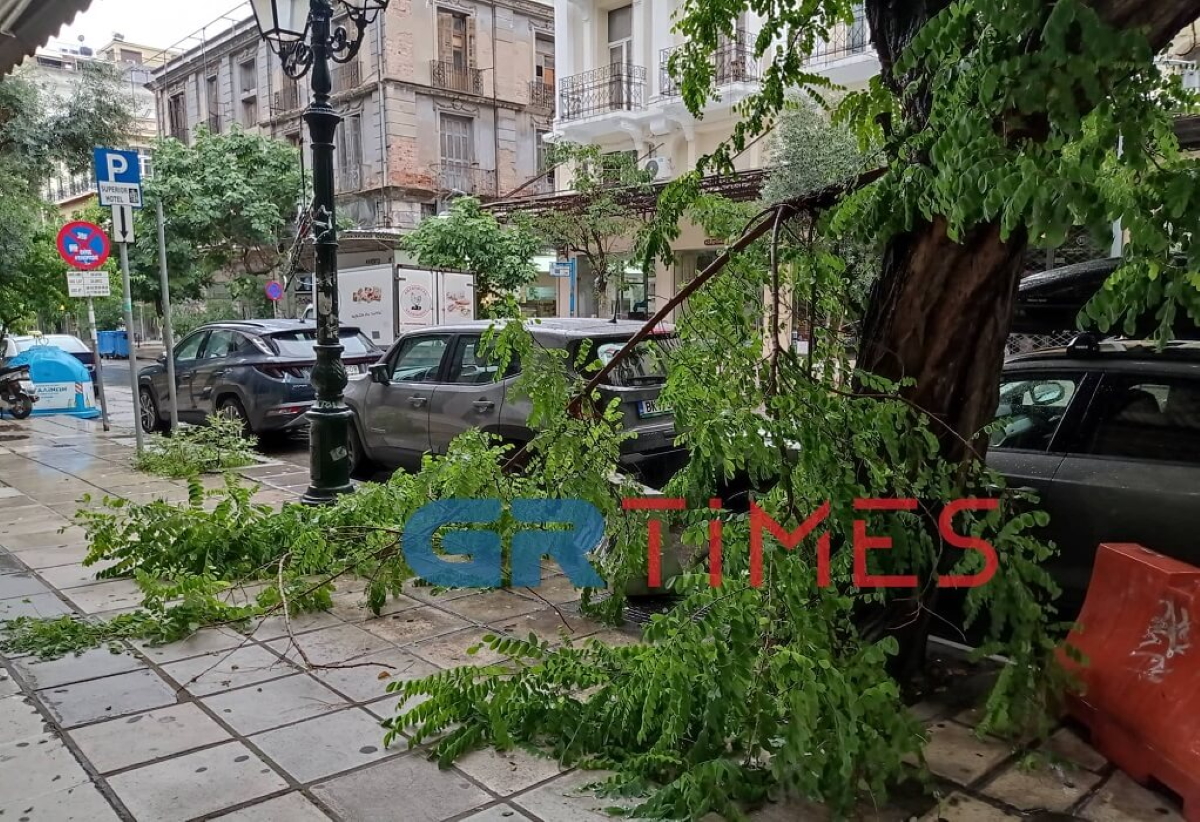 Θεσσαλονίκη: Σπασμένα κλαδιά και πλημμυρισμένα φρεάτια άφησε πίσω της η κακοκαιρία