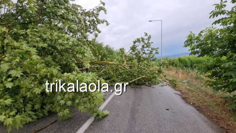 Δυνατό μπουρίνι ξερίζωσε δέντρα και προκάλεσε ζημιές στα Τρίκαλα