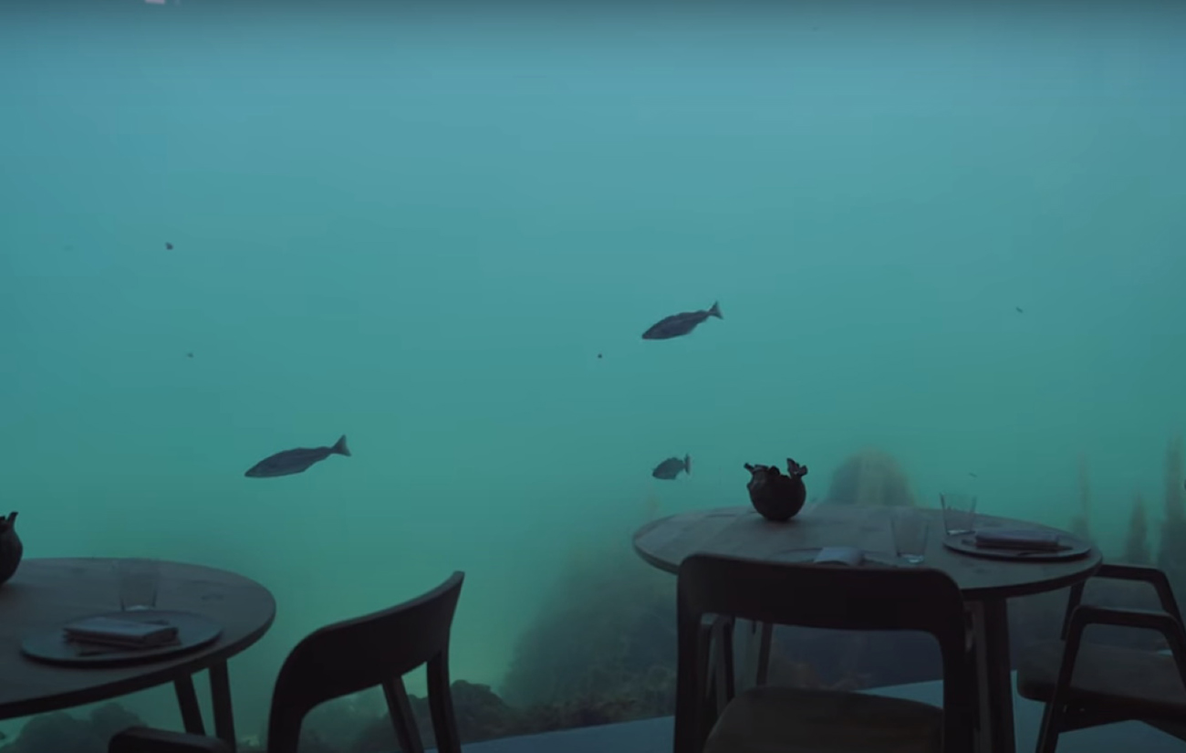 Η θαλάσσια ζωή «αγκάλιασε» το υποθαλάσσιο εστιατόριο «Under» στην Νορβηγία