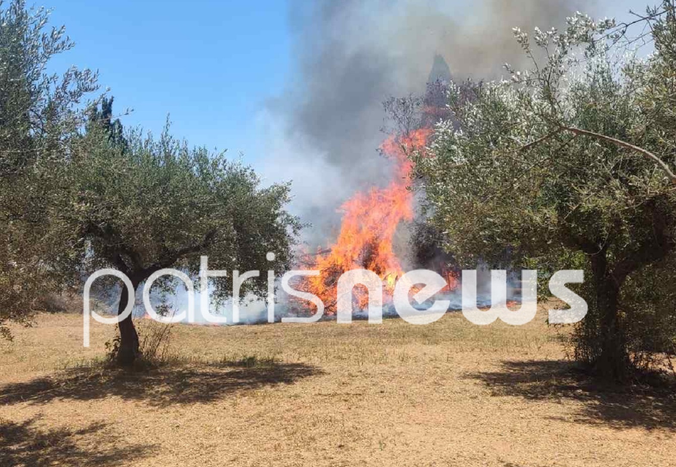 Φωτιά στην Ηλεία στην περιοχή Χάβαρι
