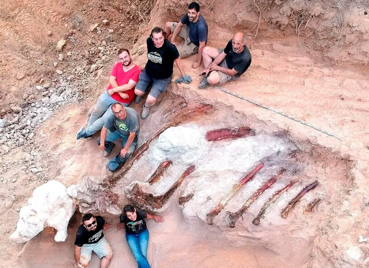 Ο μεγαλύτερος δεινόσαυρος στην Ευρώπη βρέθηκε στην πίσω αυλή ενός σπιτιού στην Πορτογαλία