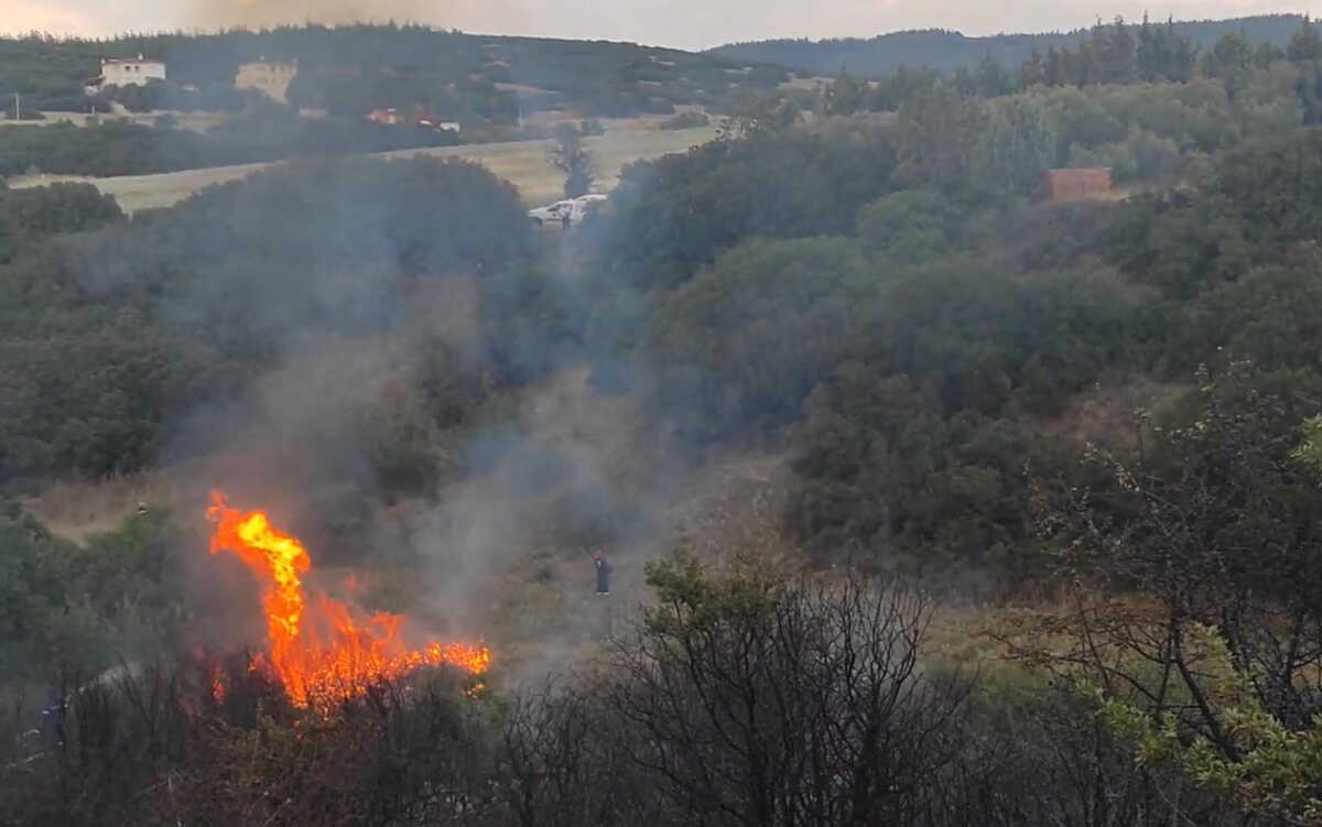 Φωτιά στο Ωραιόκαστρο: Μεγάλη κινητοποίηση της πυροσβεστικής