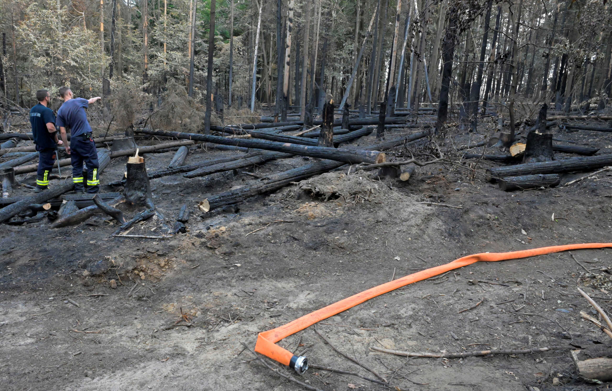 Δασικές πυρκαγιές στην Ευρώπη: Φέτος κάηκε έκταση υπερδιπλάσια του Λουξεμβούργου