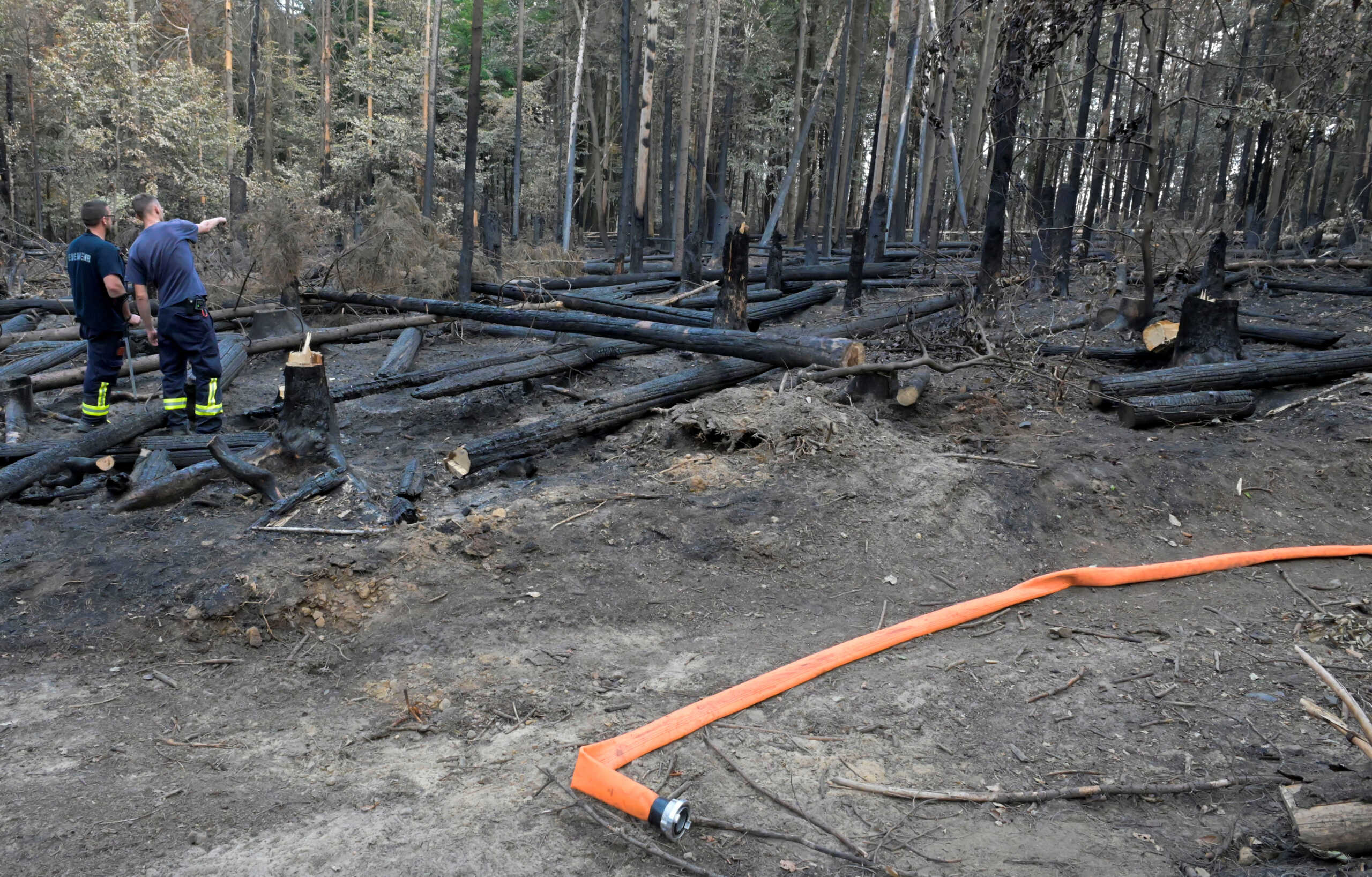 Firefighters look at the former fire site  after they helped to extinguish a forest fire during a heatwave close to the German-Czech border near Schmilka, Germany, August 2, 2022. REUTERS