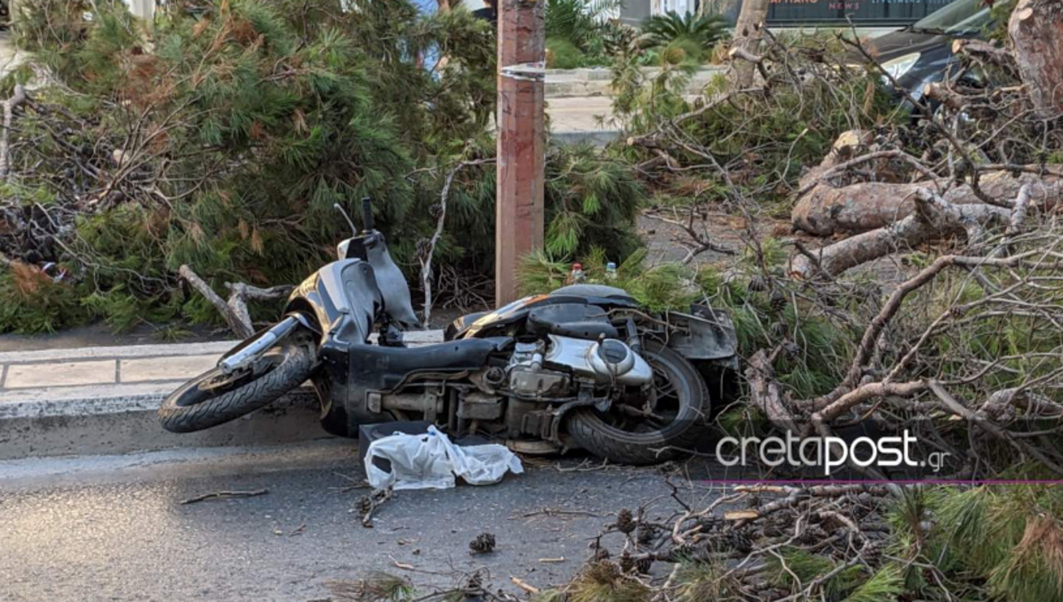 Κρήτη: Μήνυση από την οικογένεια του  51χρονου που καταπλακώθηκε από δέντρο – Ειδικός πραγματογνώμονας για το περιστατικό