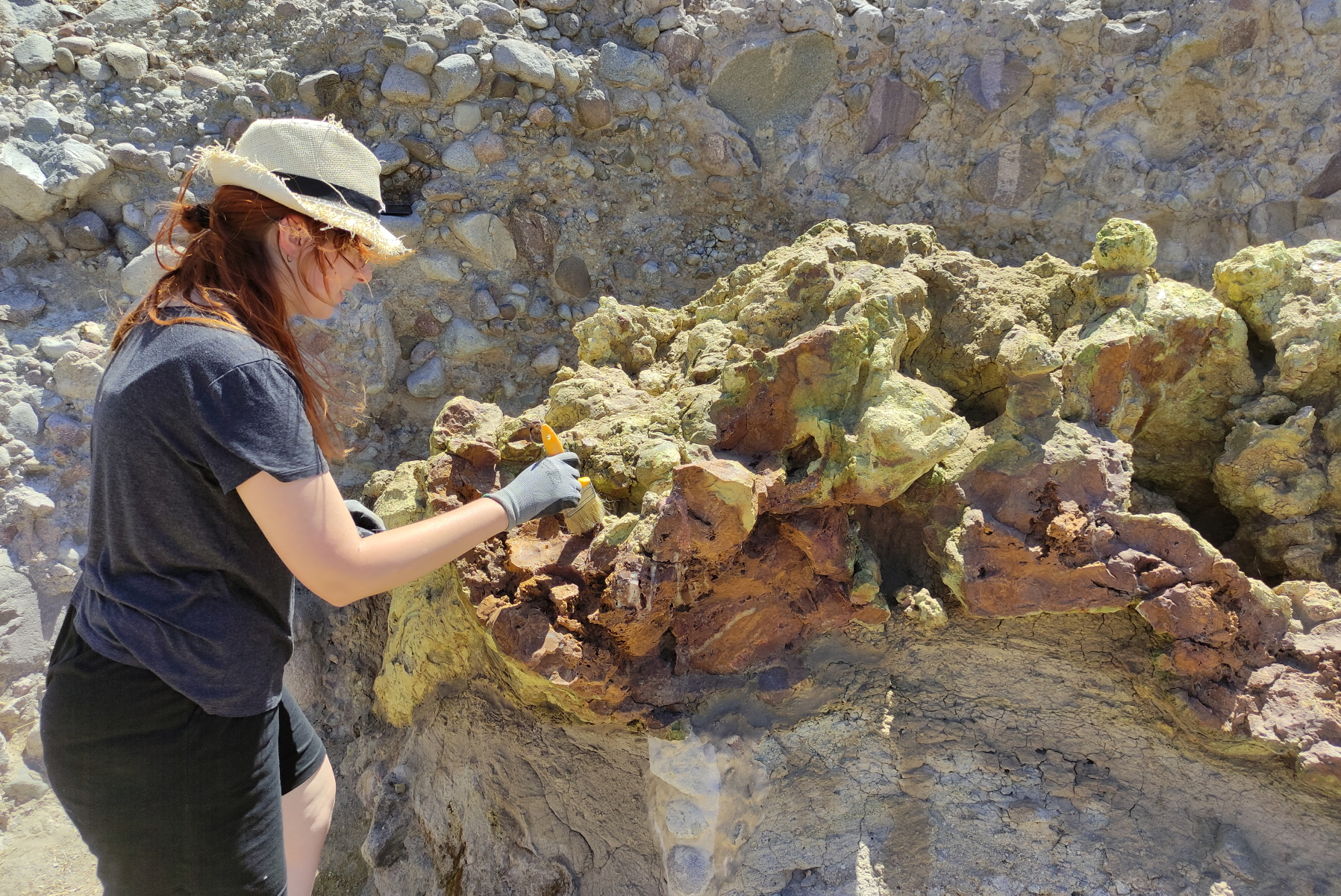Λέσβος: Αποκαλύπτεται το νέο πάρκο απολιθωμάτων ηλικίας 20 εκατομμυρίων ετών