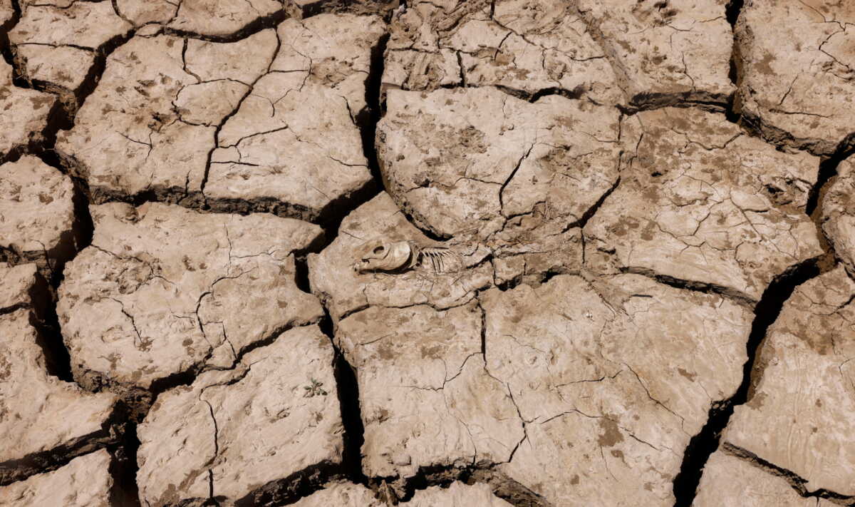 Η χειρότερη ξηρασία στην Ισπανία από το 1981 – Έκτακτα μέτρα για το νερό,  απόκοσμες εικόνες