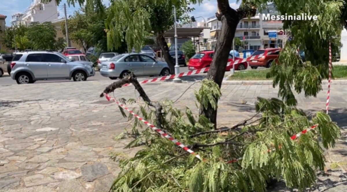 Καιρός – Ανεμοστρόβιλος σάρωσε την Καλαμάτα, ξερίζωσε δέντρα και έριξε κολώνες φωτισμού