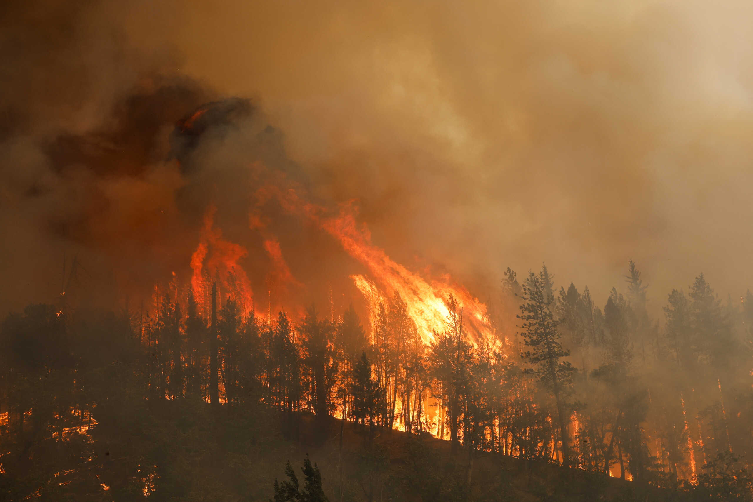 McKinney Fire burns near Yreka, California, U.S., July 30, 2022. REUTERS