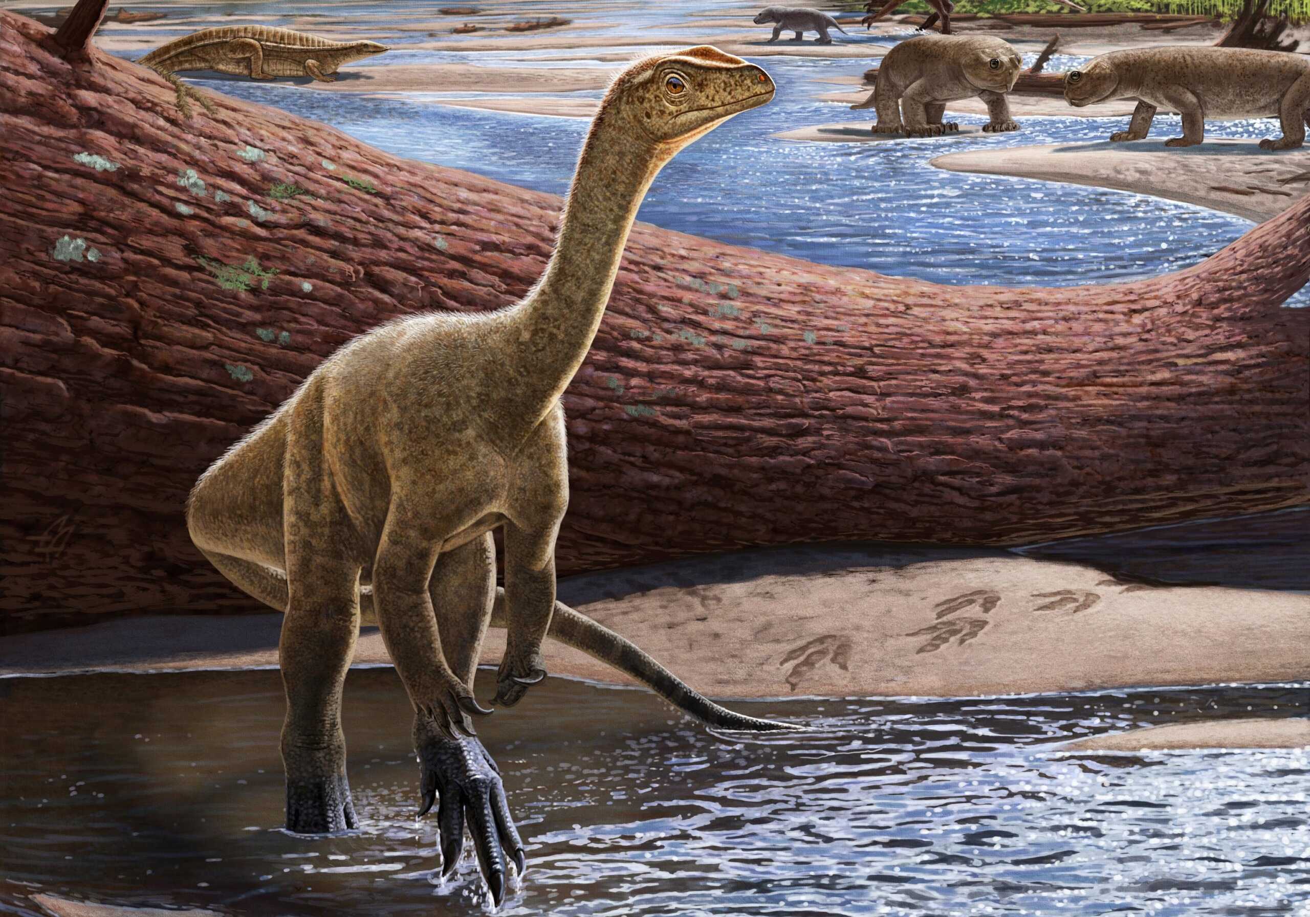 Ανακαλύφθηκε ο Mbiresaurus, ο αρχαιότερος δεινόσαυρος της Αφρικής