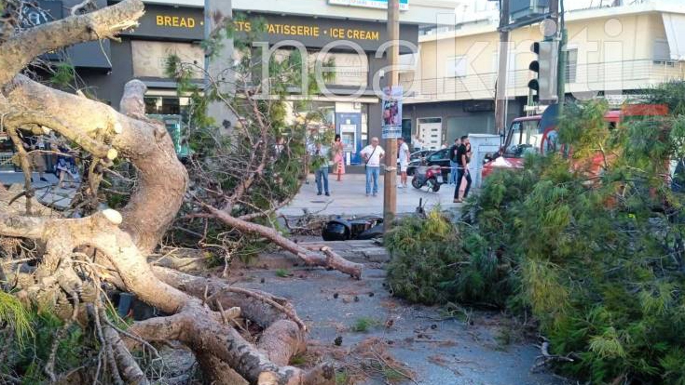 Ηράκλειο: Δέντρο σκότωσε πατέρα 3 παιδιών σε φανάρι – Νέες εικόνες και μια τραγική ειρωνεία που συγκλονίζει