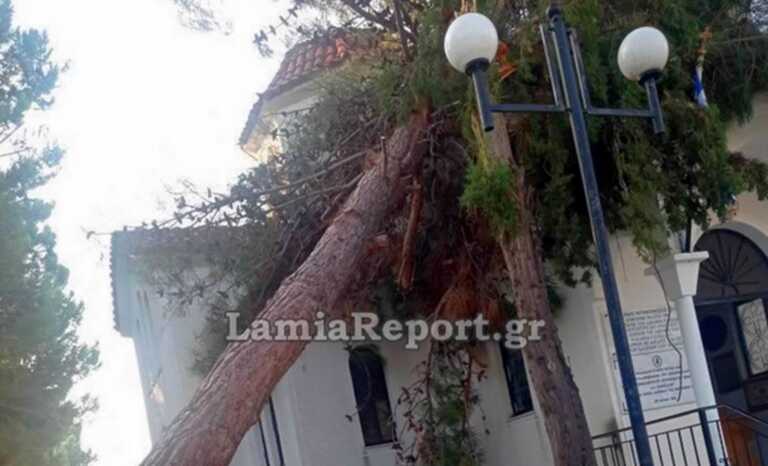 Φθιώτιδα: Δέντρο έπεσε πάνω σε εκκλησία – Δείτε τις εικόνες που άφησε στην περιοχή η κακοκαιρία