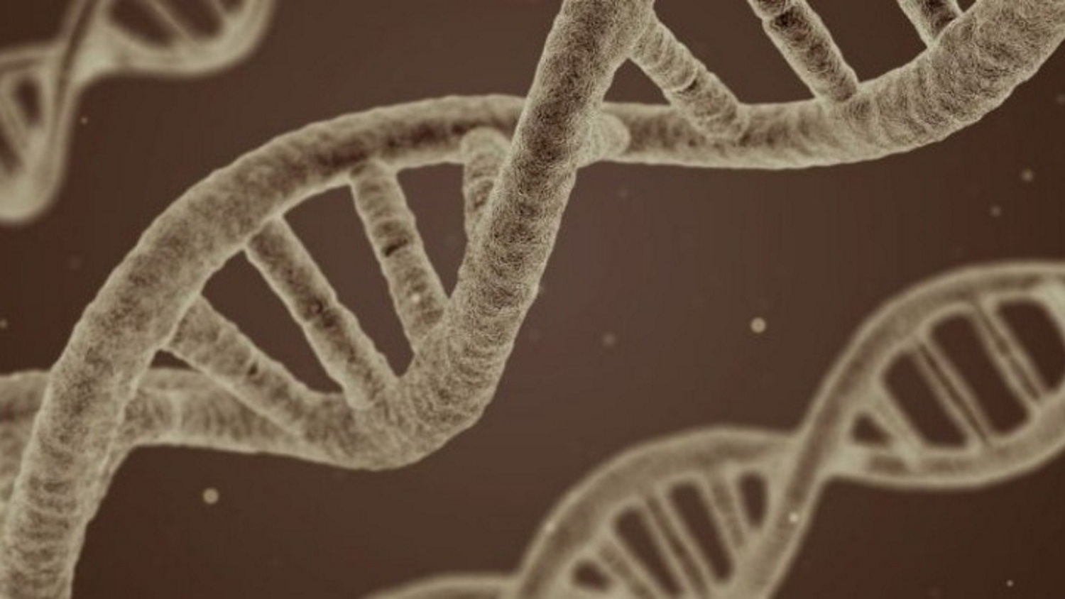Το DNA του μιτοχονδρίου «τρυπώνει» και αλλάζει το ανθρώπινο – Η ανακάλυψη που σχετίζεται και με τον καρκίνο
